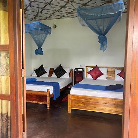 Himansa Homestay إيلا المظهر الخارجي الصورة