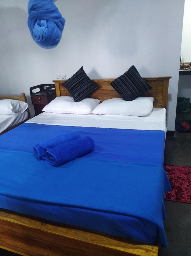 Himansa Homestay إيلا المظهر الخارجي الصورة