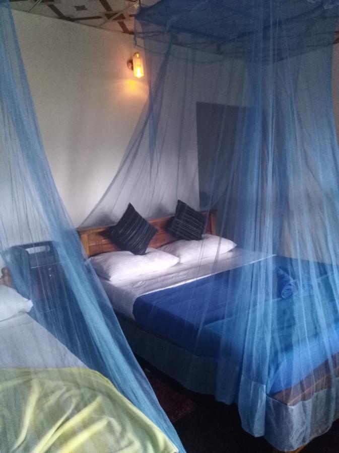 Himansa Homestay إيلا المظهر الخارجي الصورة