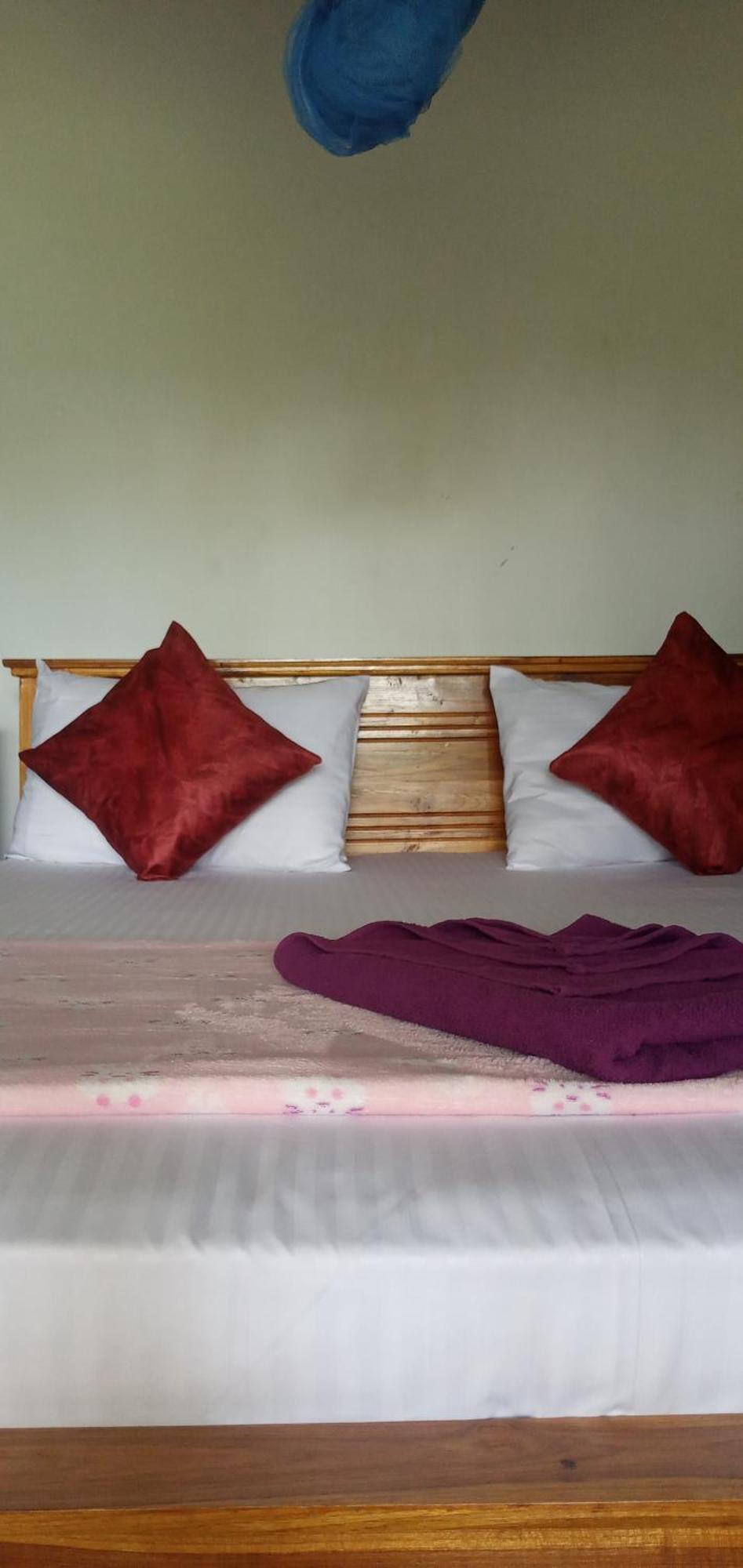 Himansa Homestay إيلا المظهر الخارجي الصورة