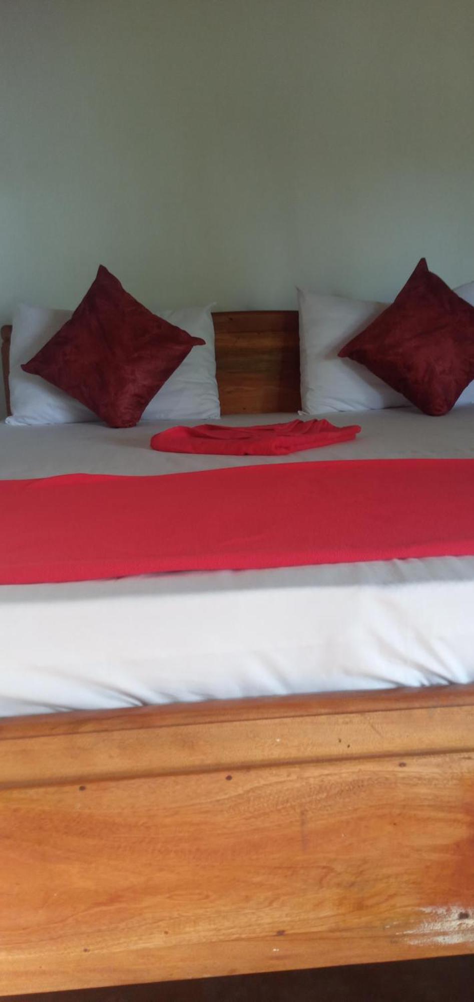 Himansa Homestay إيلا المظهر الخارجي الصورة