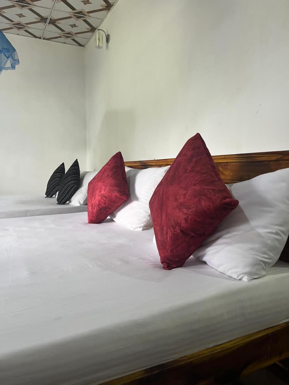 Himansa Homestay إيلا المظهر الخارجي الصورة