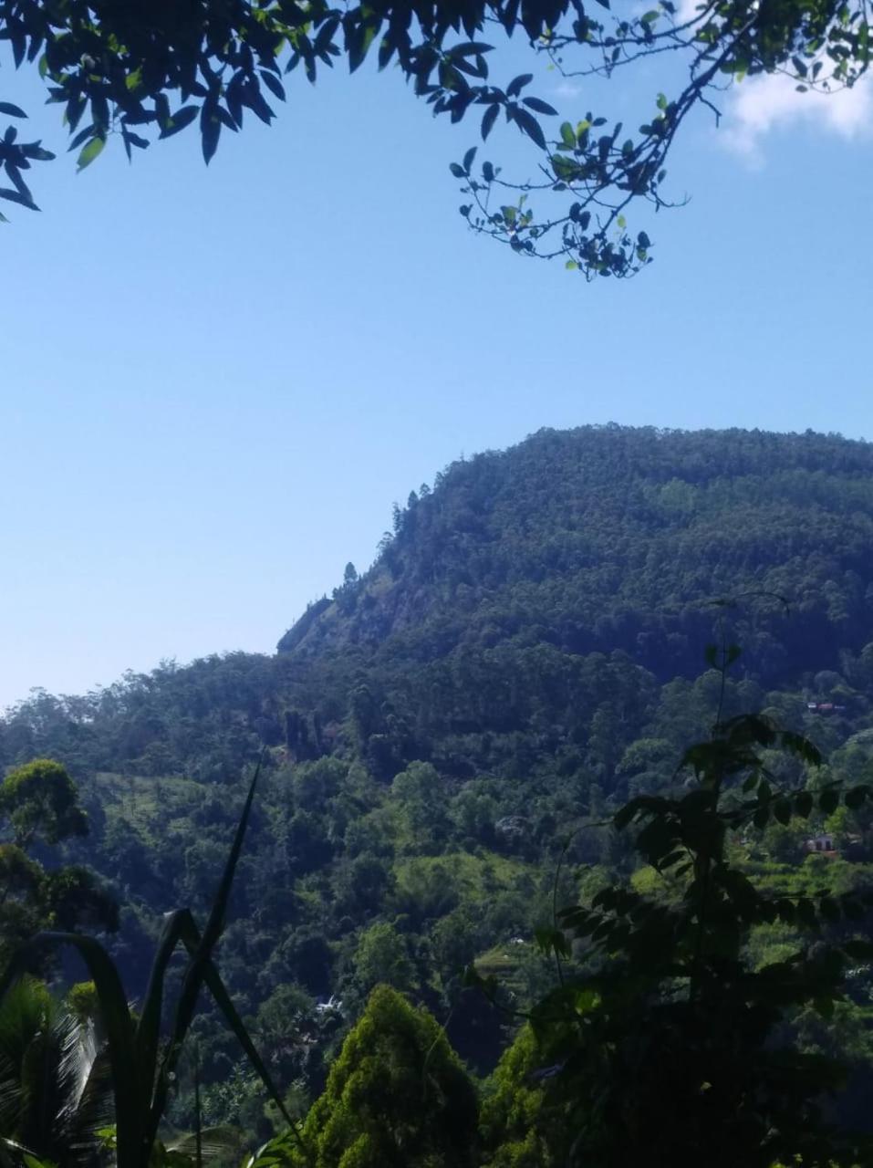 Himansa Homestay إيلا المظهر الخارجي الصورة