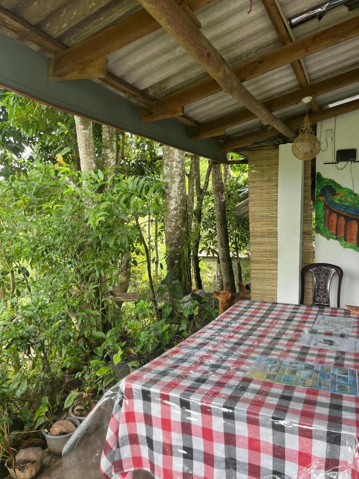 Himansa Homestay إيلا المظهر الخارجي الصورة