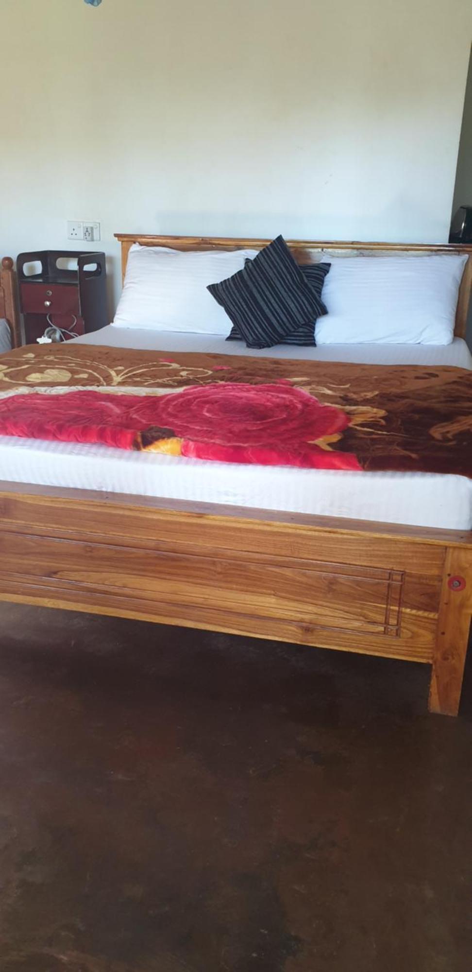 Himansa Homestay إيلا المظهر الخارجي الصورة