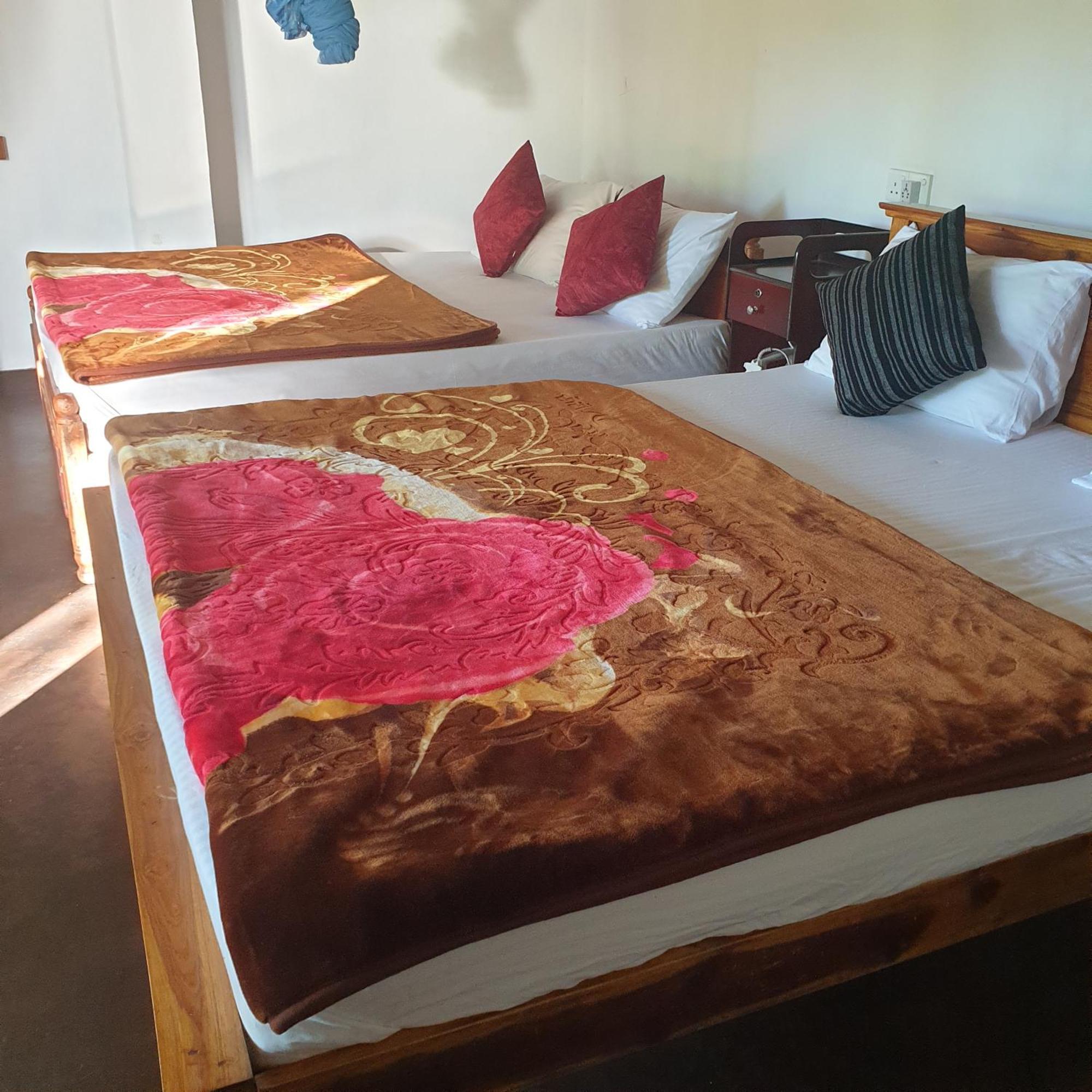 Himansa Homestay إيلا المظهر الخارجي الصورة