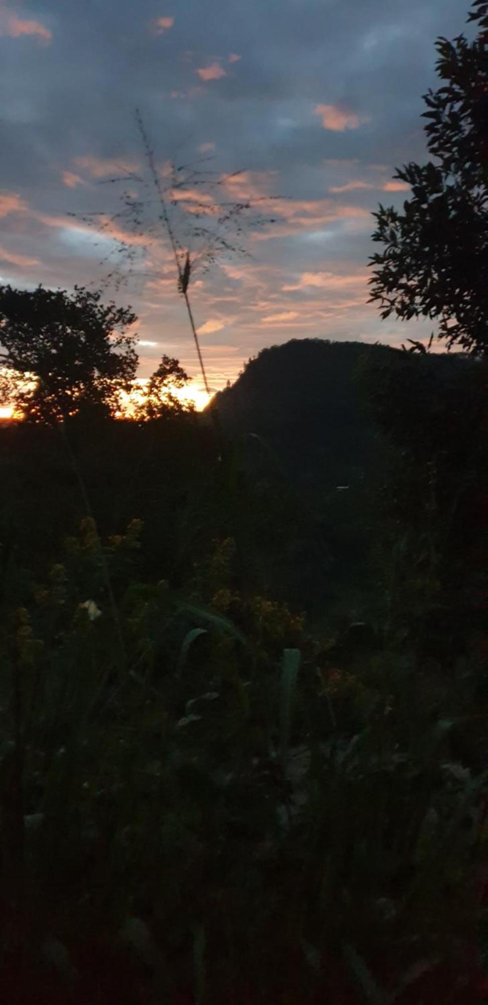 Himansa Homestay إيلا المظهر الخارجي الصورة