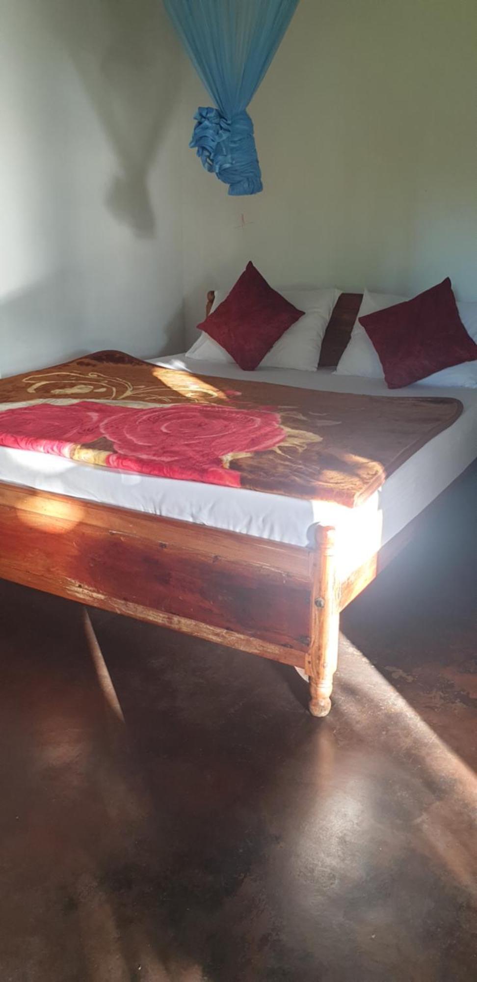 Himansa Homestay إيلا المظهر الخارجي الصورة