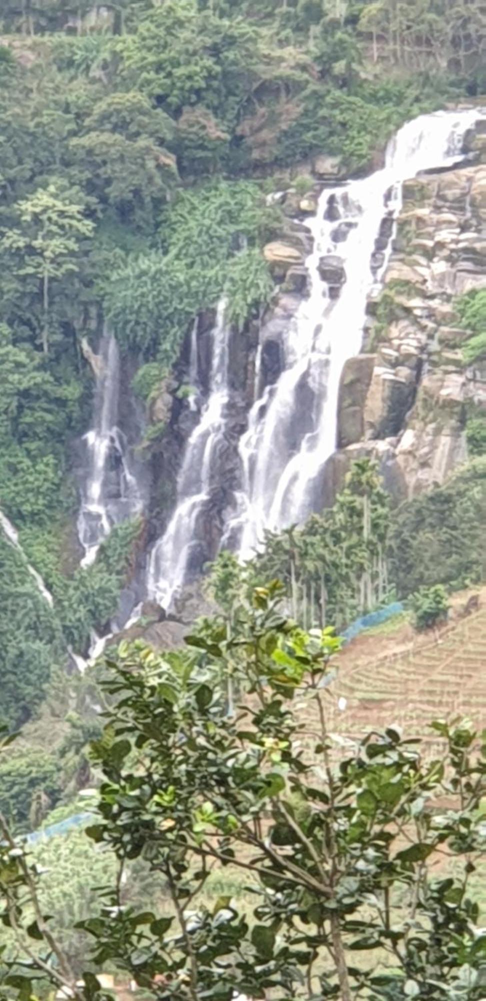 Himansa Homestay إيلا المظهر الخارجي الصورة