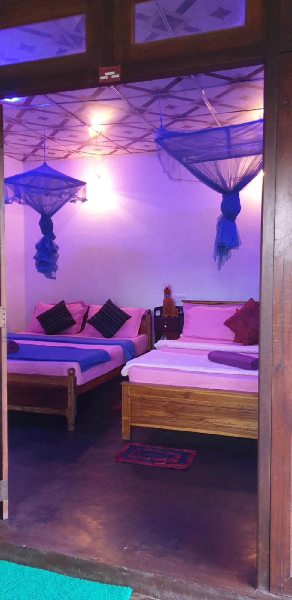 Himansa Homestay إيلا المظهر الخارجي الصورة